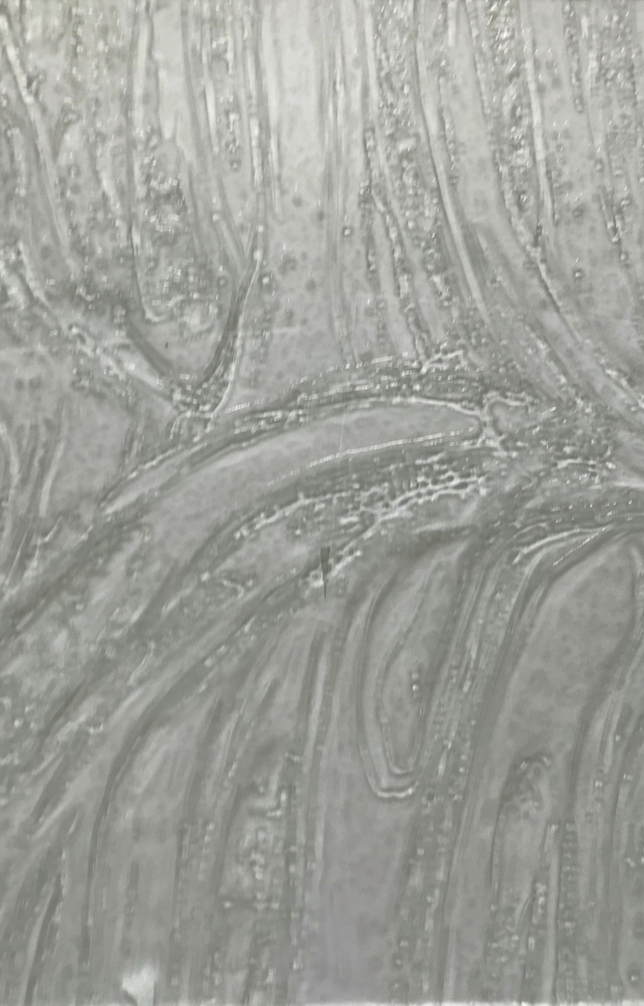 Glas ESG Barock