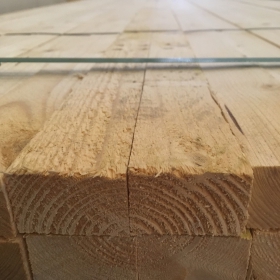 Latten (10) | 3000 x 48 x 24 mm