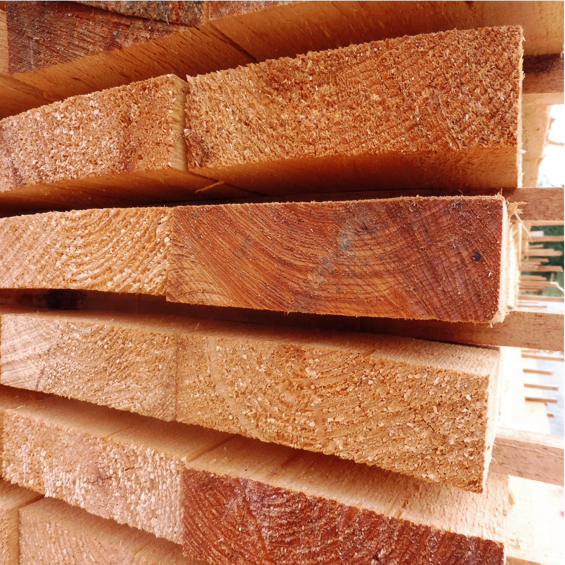 Bohle | 5000 x 120 x 30 mm