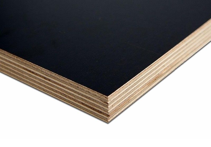 Sieb/Film Sperrholz | 2500 x 1250 x 24 mm